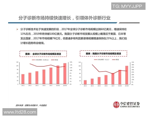 广州与深圳羽毛球队赛后复盘分析团队意识与战术执行的深度探讨